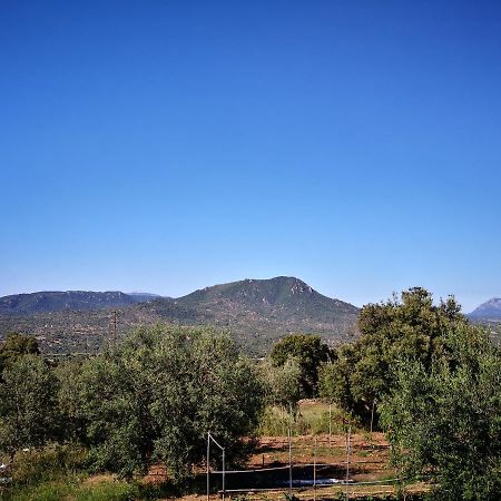 אוליאנה Villa Sa Pruna מראה חיצוני תמונה