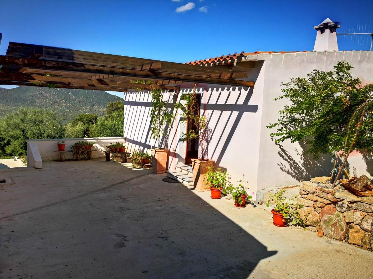 אוליאנה Villa Sa Pruna מראה חיצוני תמונה