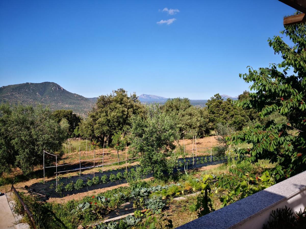 אוליאנה Villa Sa Pruna מראה חיצוני תמונה