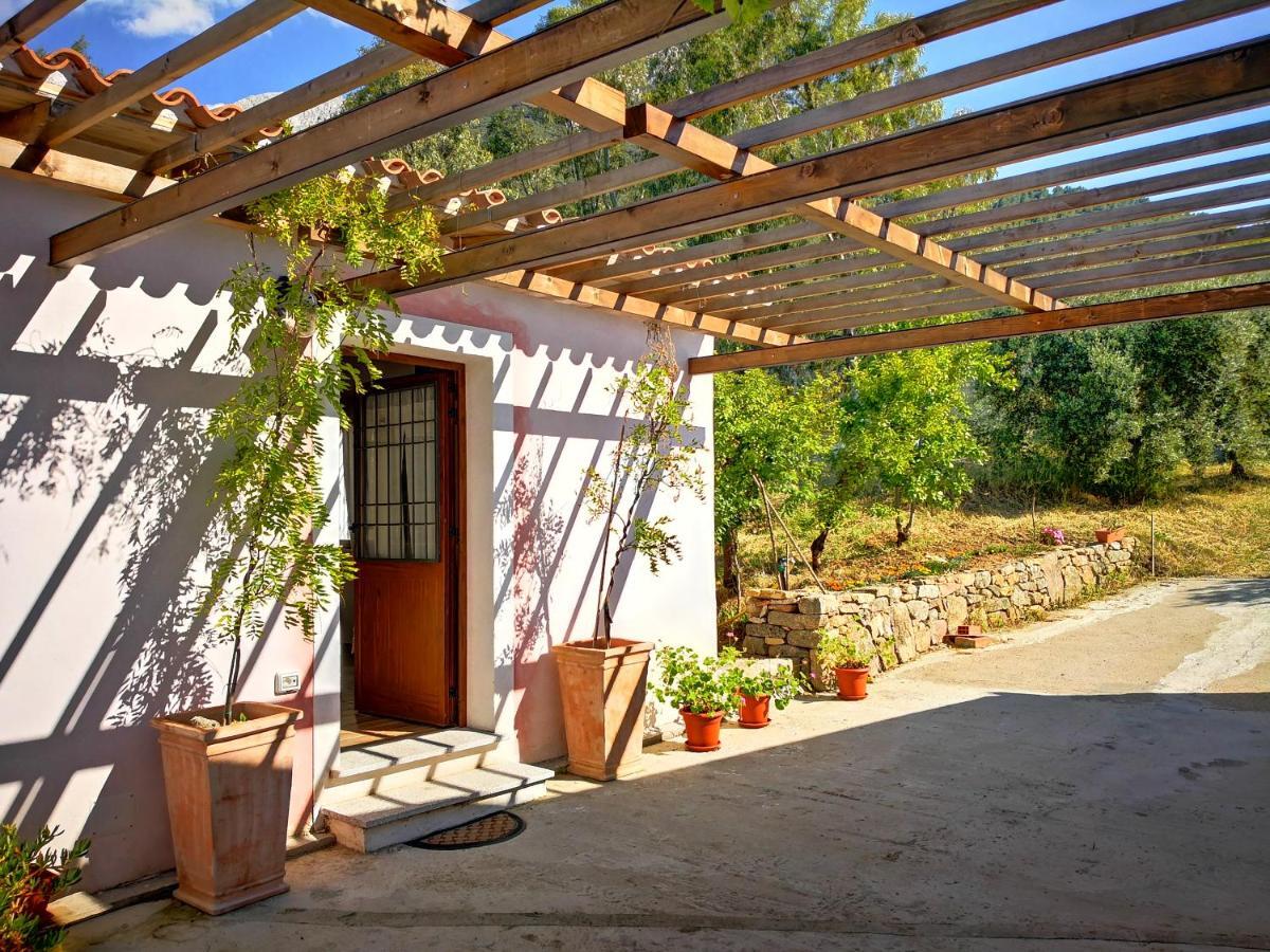 אוליאנה Villa Sa Pruna מראה חיצוני תמונה