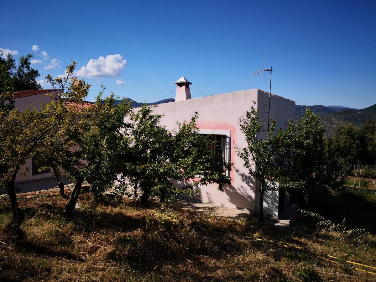 אוליאנה Villa Sa Pruna מראה חיצוני תמונה